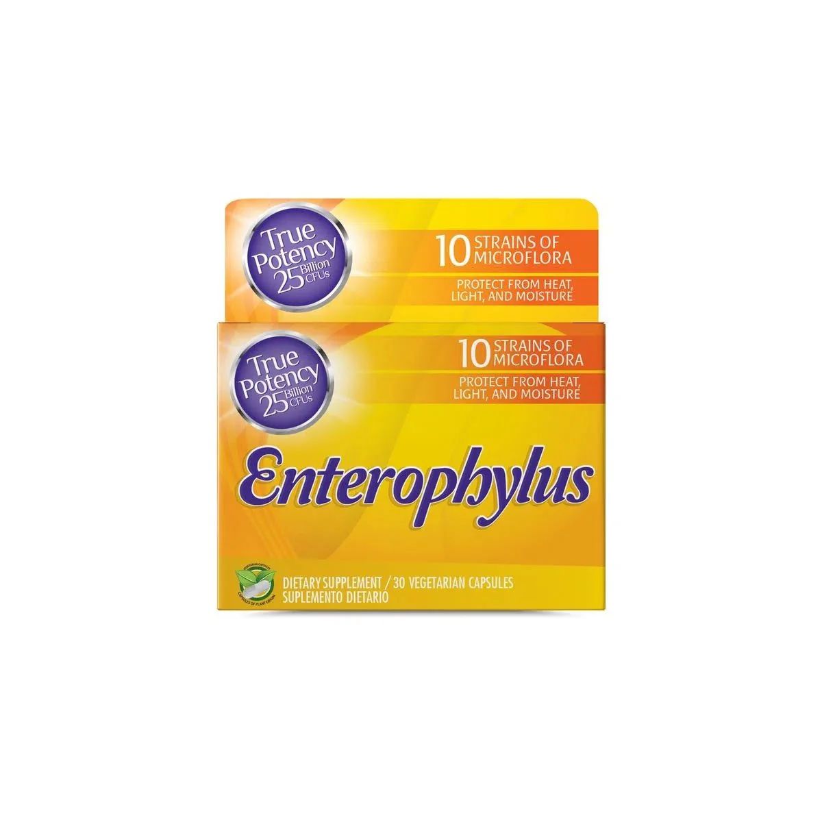 Enterophylus 30